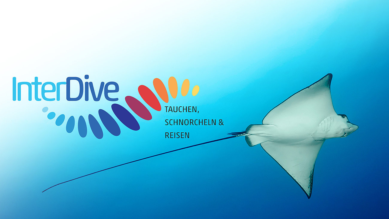 interdive