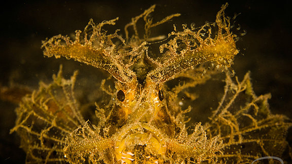image-122